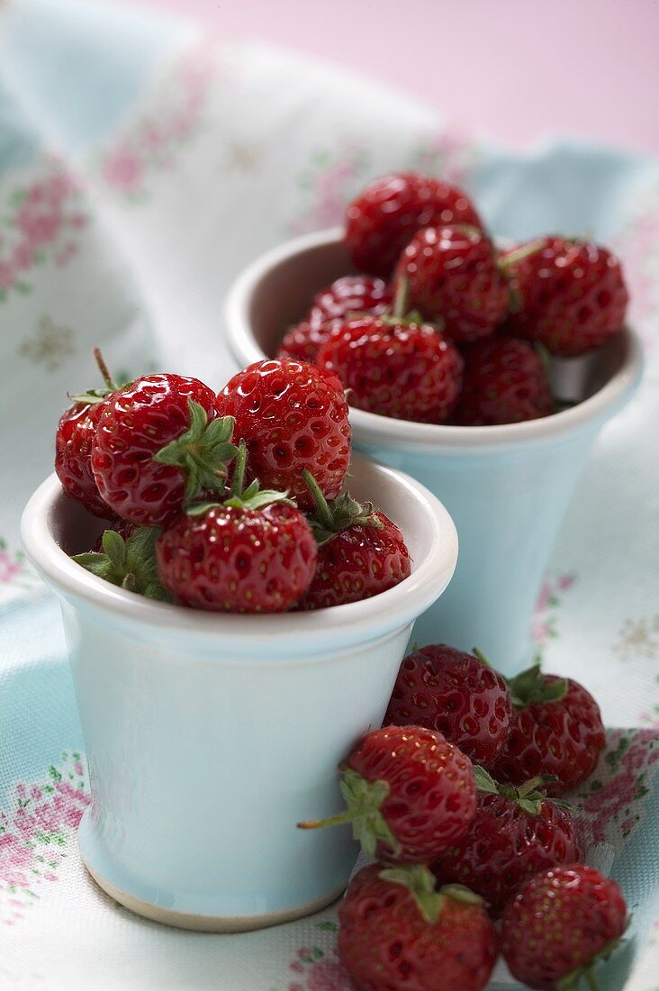 Frische Erdbeeren in weissen Schälchen