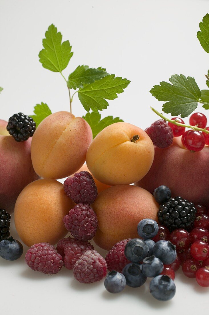 Obststillleben mit Steinobst, Beeren und Blättern (Ausschnitt)