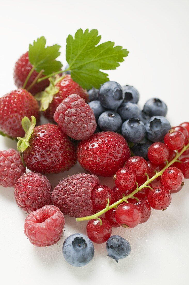 Verschiedene Beeren mit Blättern