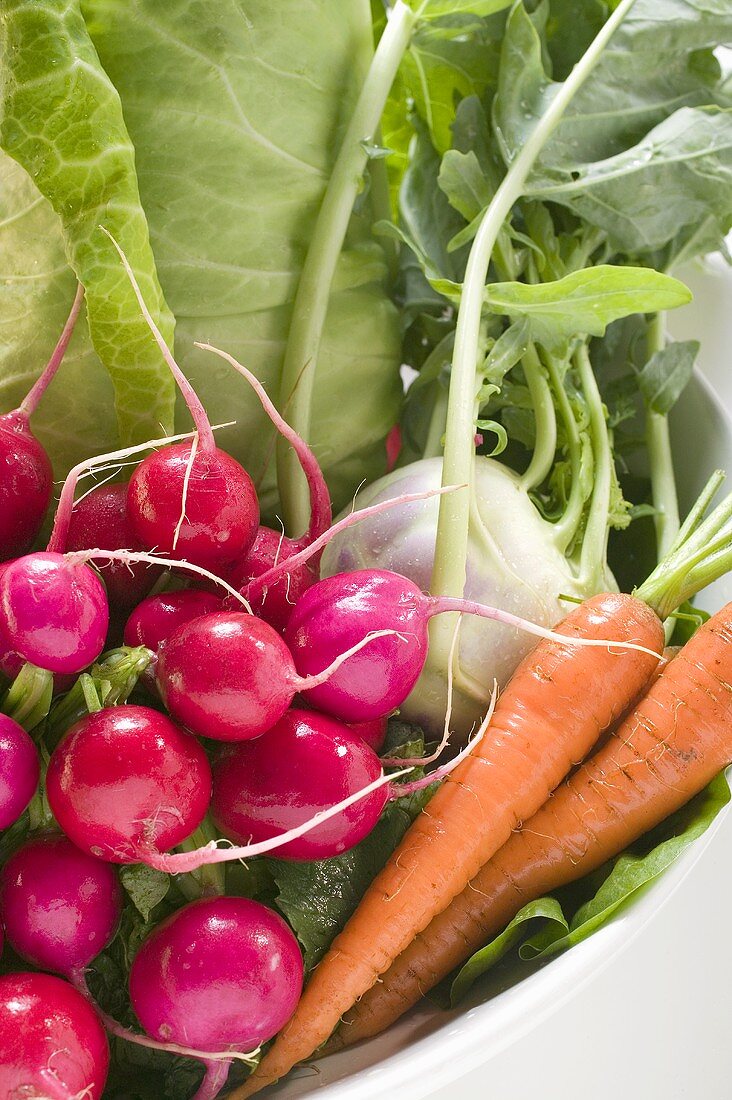 Radieschen, Spitzkohl, Kohlrabi und Möhren in Schüssel