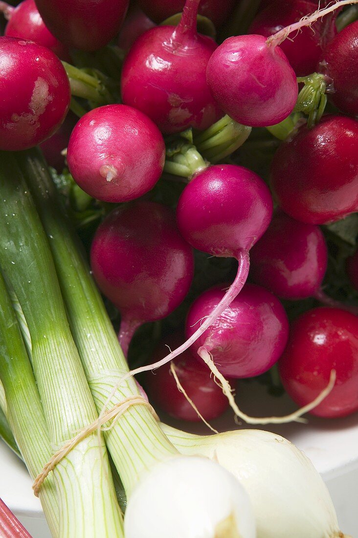 Spring onions and radishes in bowl (close-up)