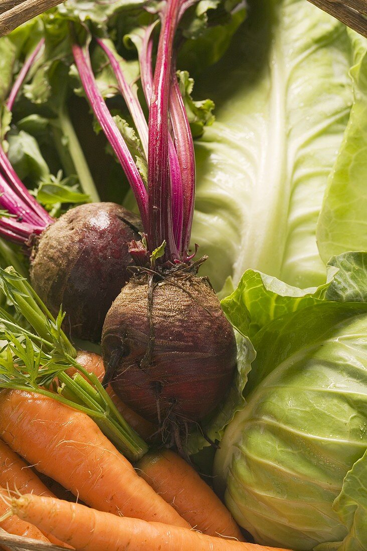 Frische Möhren, Rote Bete und Weisskohl (Ausschnitt)