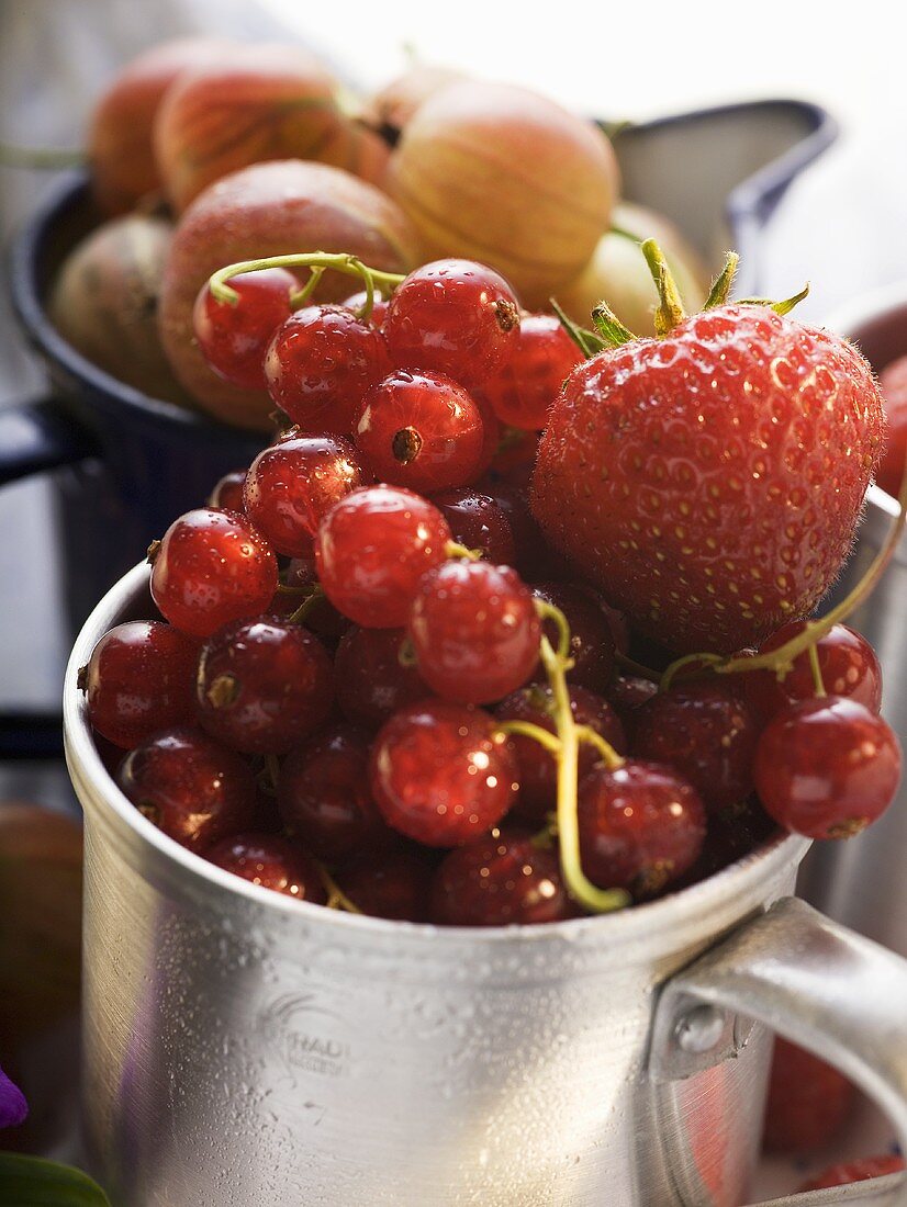 Stillleben mit verschiedenen Beeren in Tassen