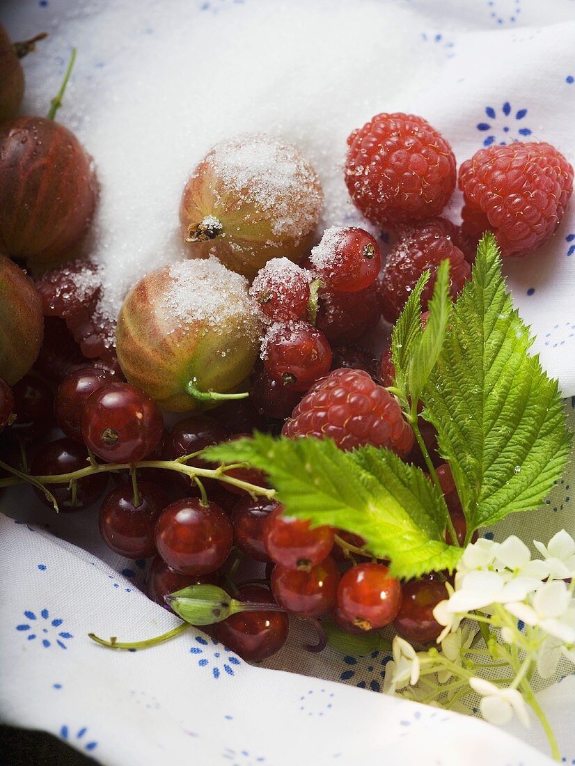 Assorted berries with sugar