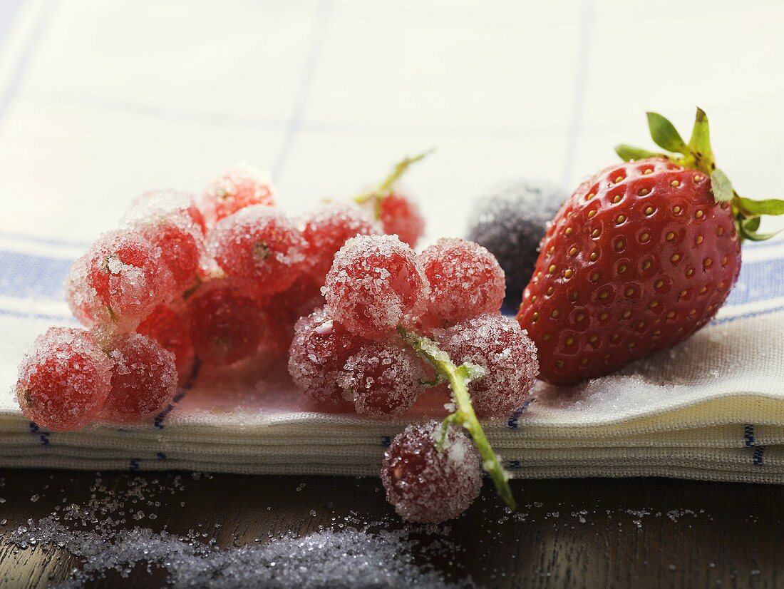 Sugared berries on tea towel