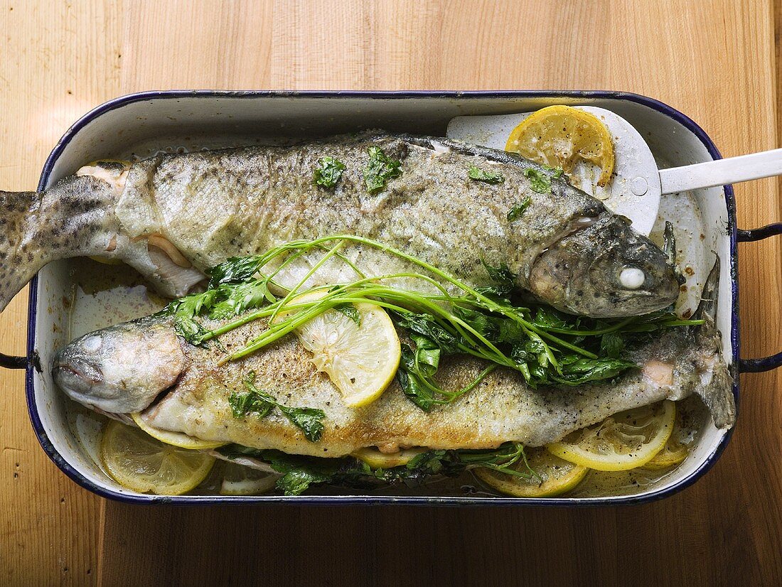 Roast trout in roasting tin