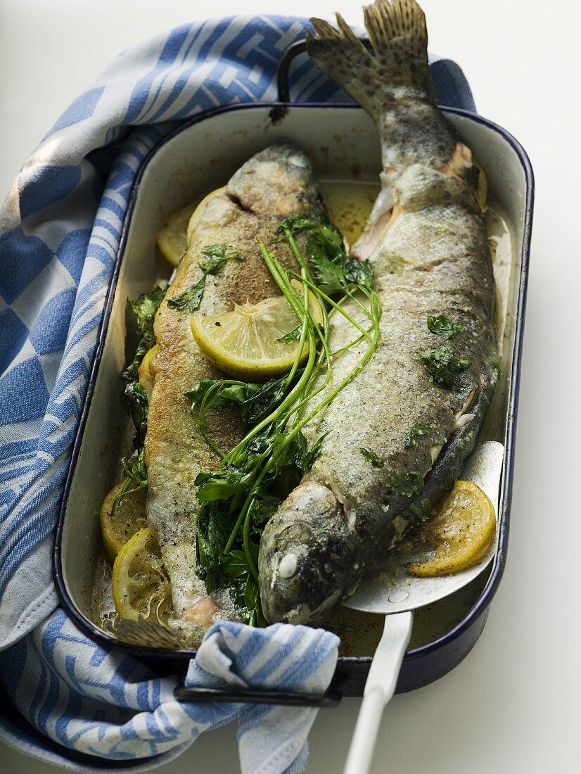 Roast trout in roasting tin