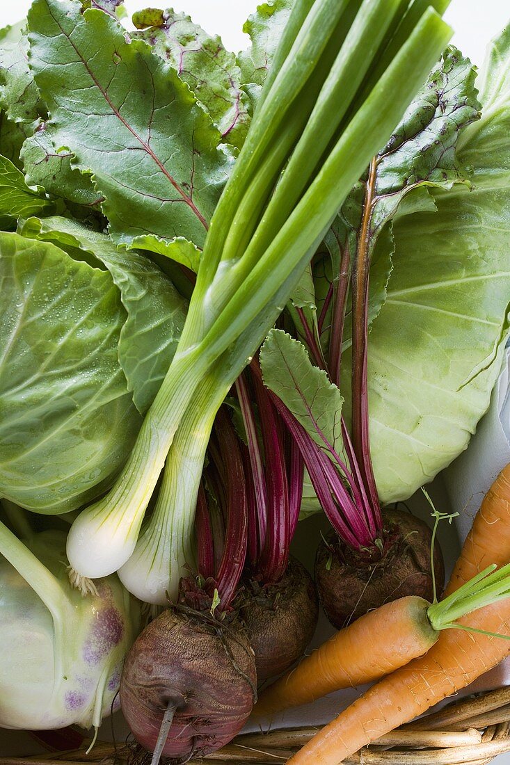Still life with spring onions, cabbage, beetroot, carrots