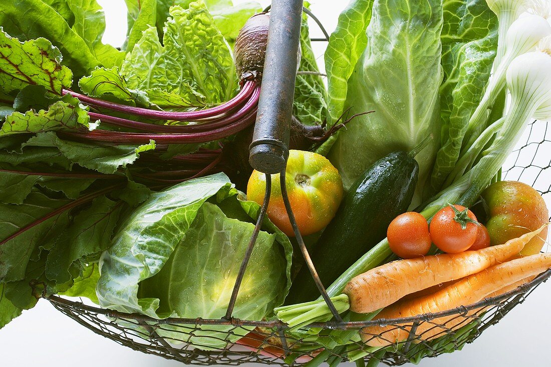 Fresh vegetables in wire basket