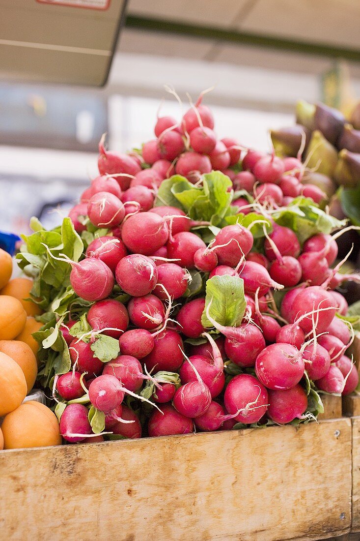 Frische Radieschen in Steige auf dem Markt