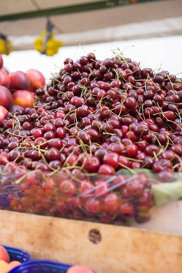 Viele Kirschen in Steige auf dem Markt