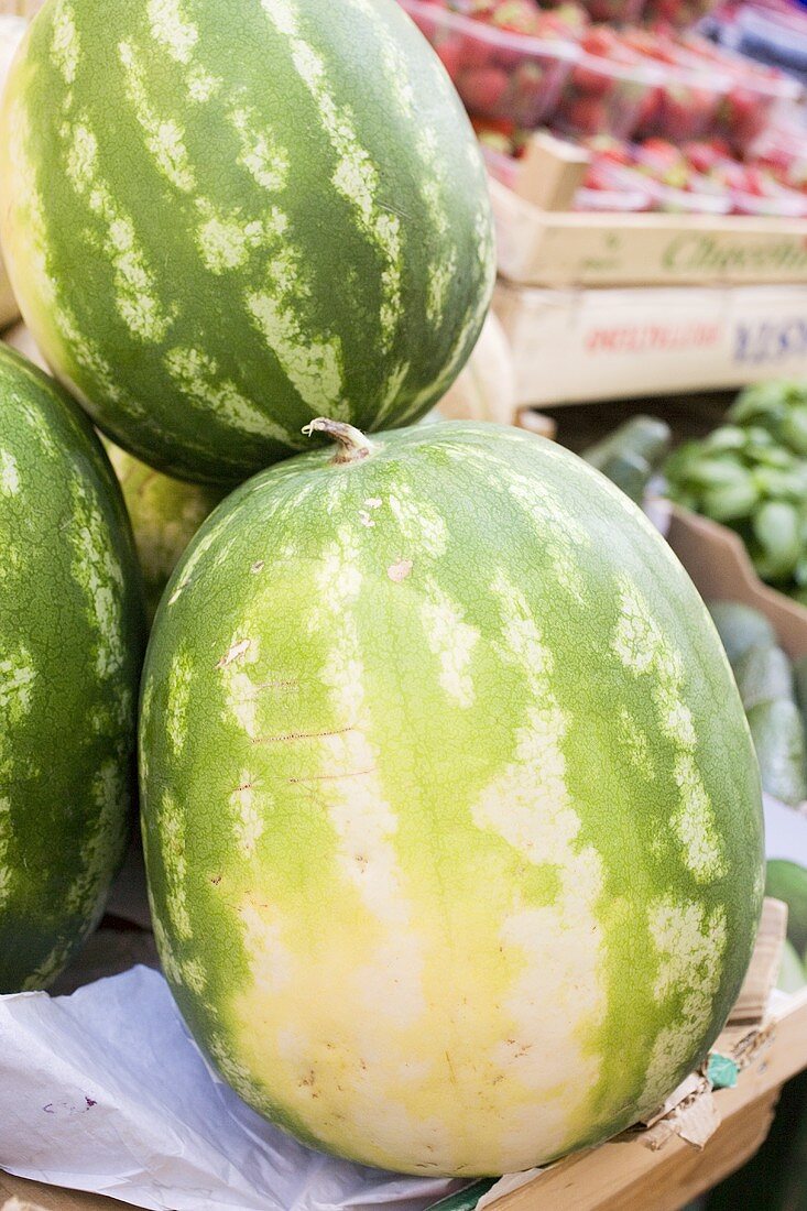 Watermelons at a market