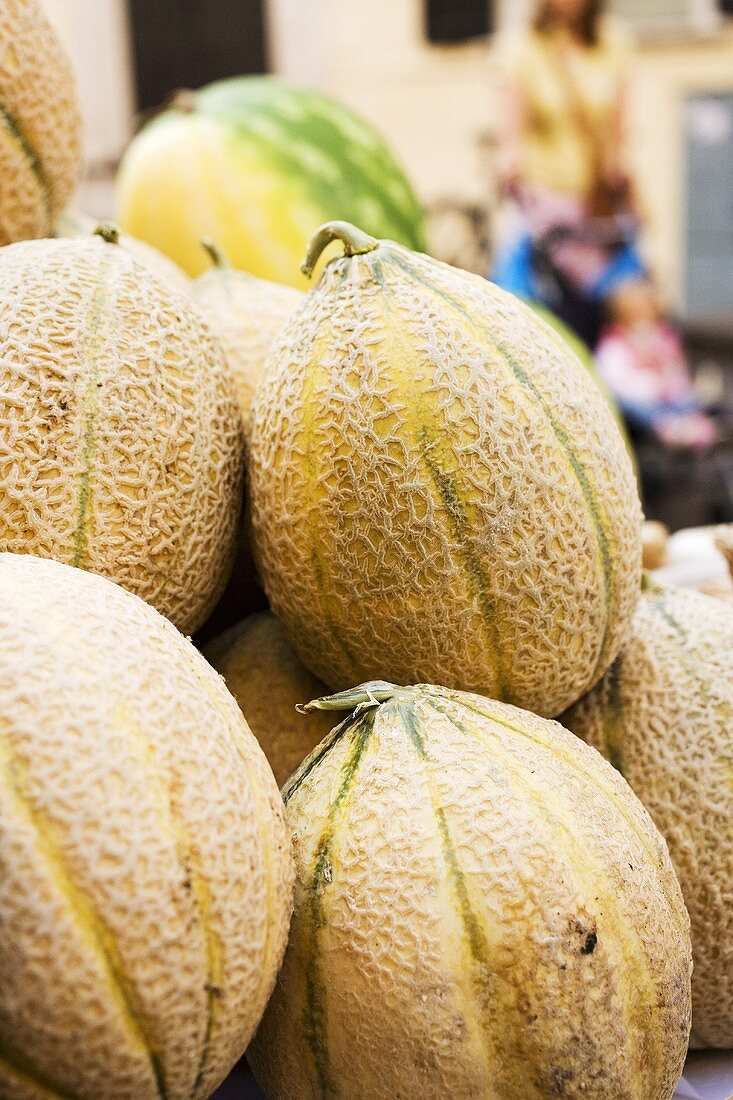 Cantaloupemelonen auf dem Markt