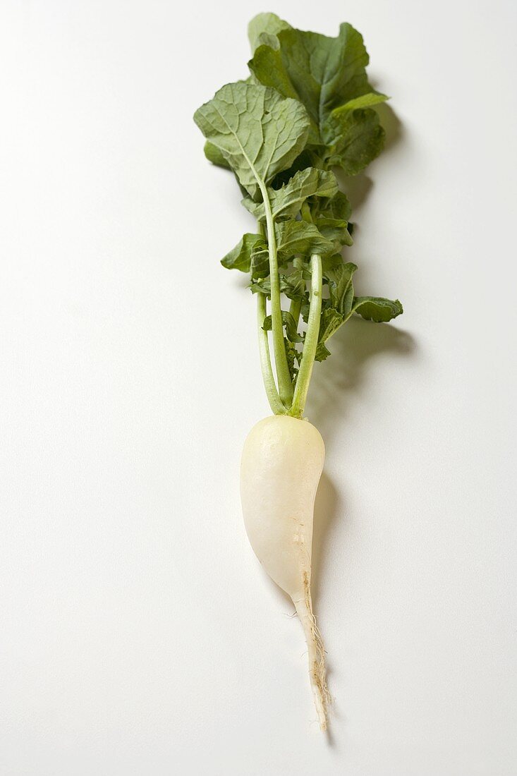 Icicle radish with leaves