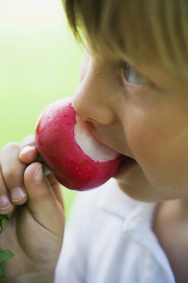 Child biting into a radish