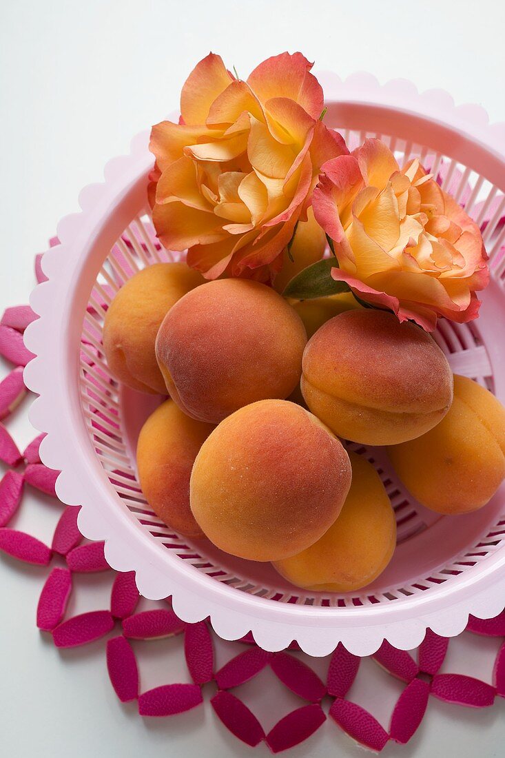 Apricots and roses in plastic dish