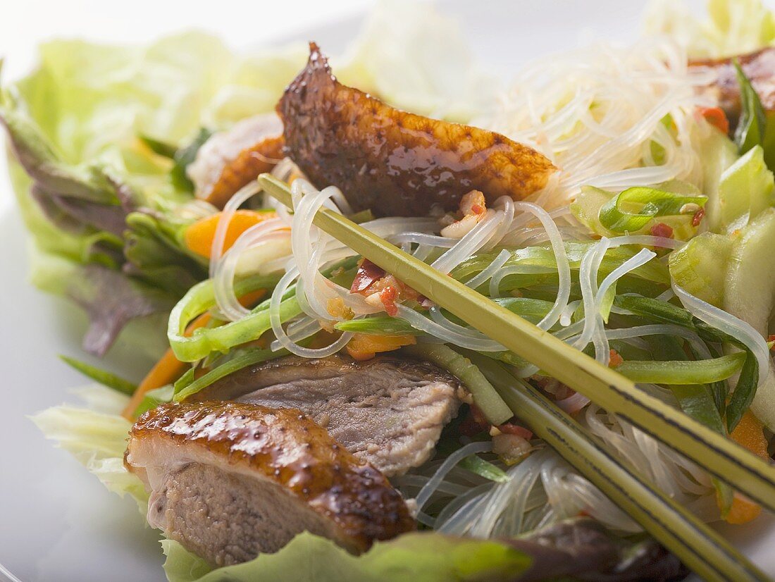 Salat mit gebratener Entenbrust, Gemüse, Glasnudeln (Asien)