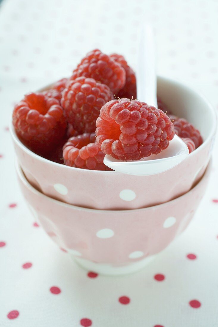 Himbeeren im rosa Schälchen mit Löffel