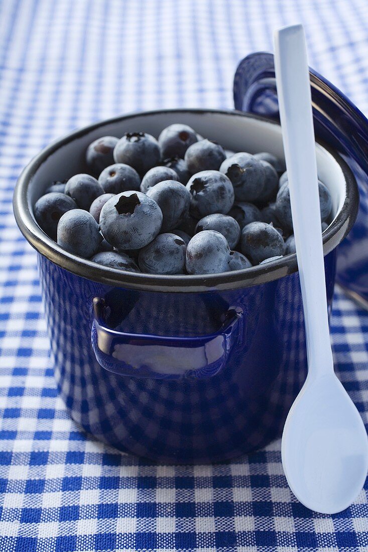 Frische Heidelbeeren im blauen Kochtopf