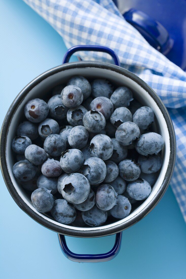 Frische Heidelbeeren im blauen Kochtopf