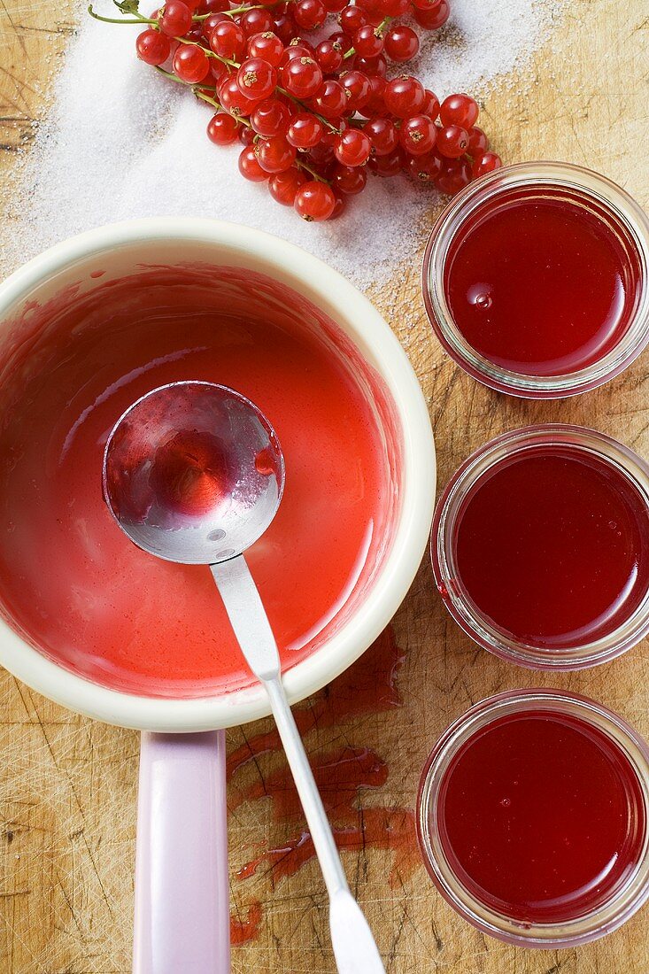 Rotes Johannisbeergelee in Kochtopf und Marmeladengläsern