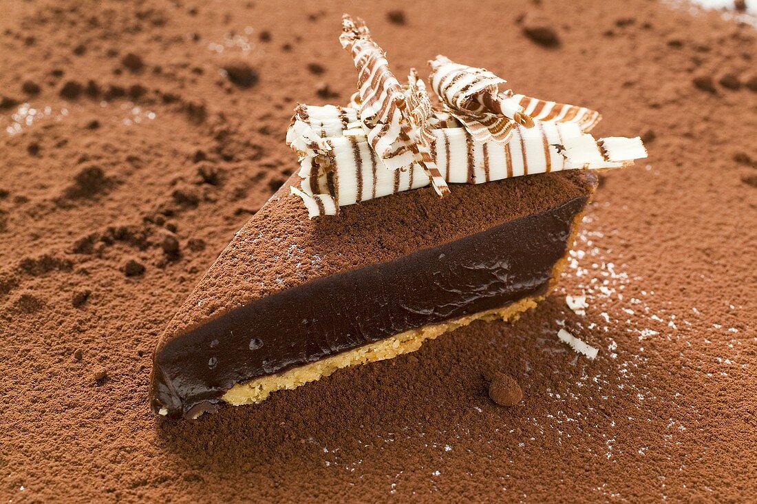Stück Schokoladentorte auf Kakaopulver