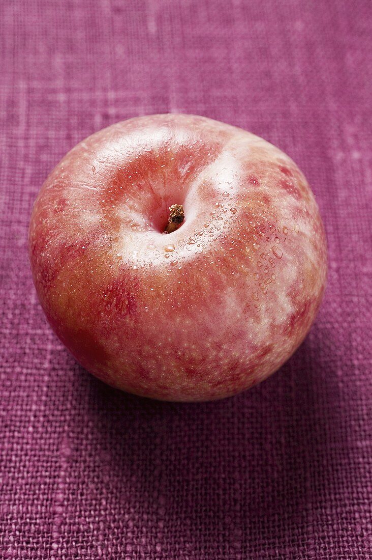 Roter Apfel mit Wassertropfen auf violettem Untergrund