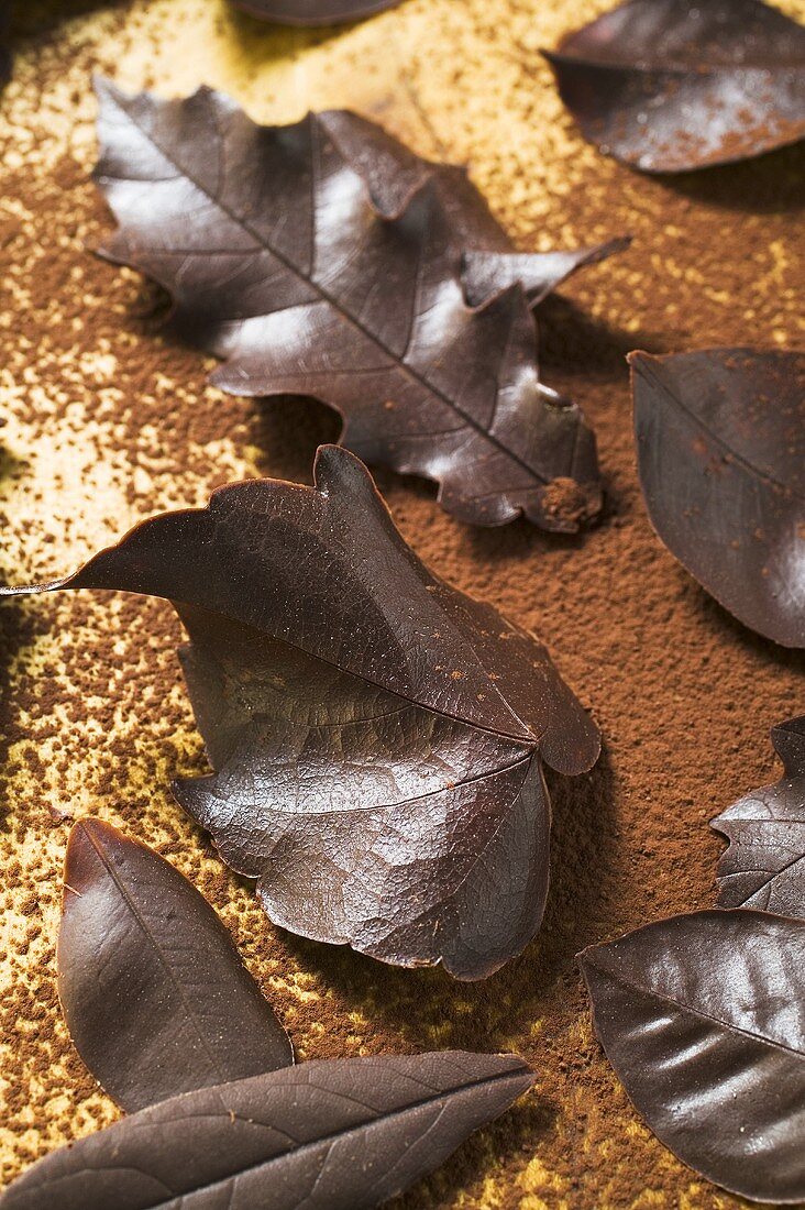 Several different chocolate leaves on cocoa powder (overhead)