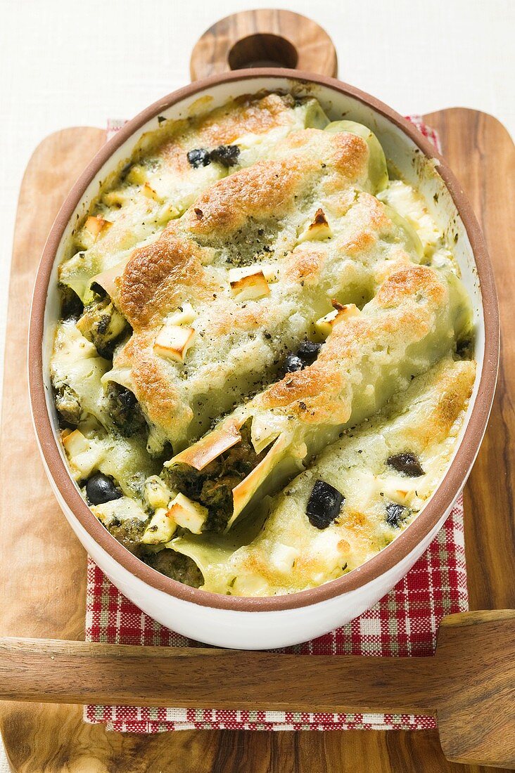 Cannelloni with spinach & sheep's cheese filling in dish