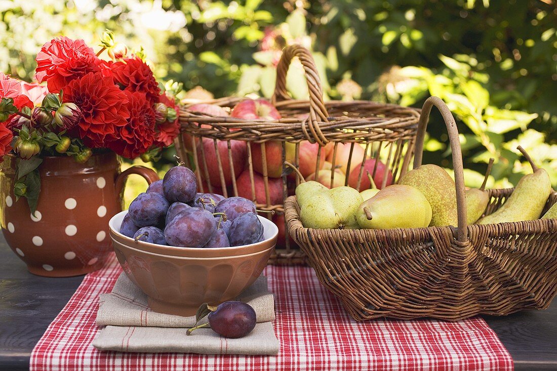 Pflaumen in Schale, Birnen und Äpfel im Korb auf Gartentisch