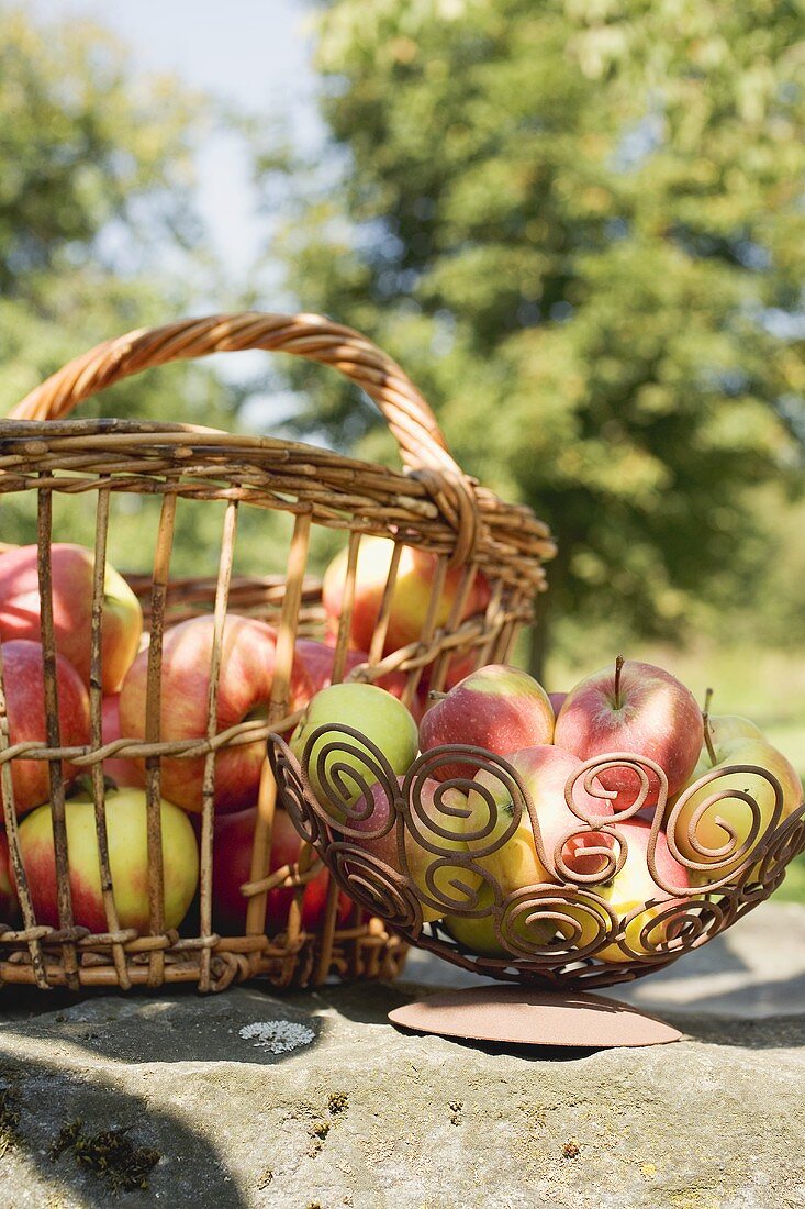 Fresh apples in basket and bowl on stone wall in garden