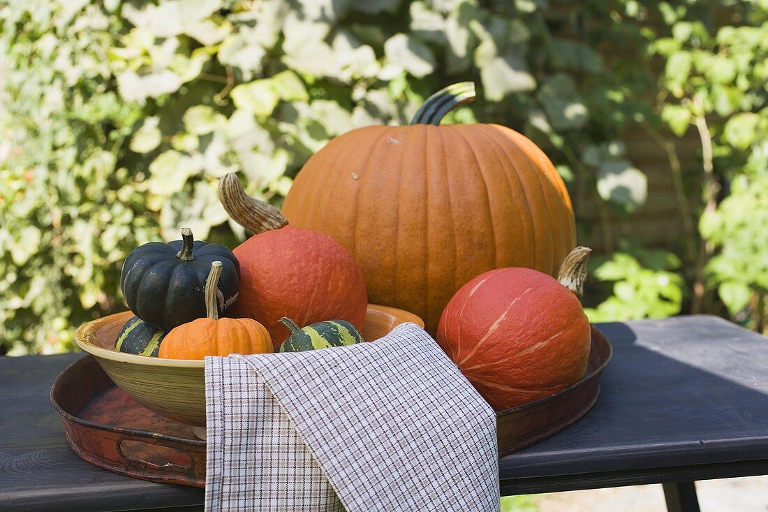 Assorted squashes and pumpkins on table in the open air