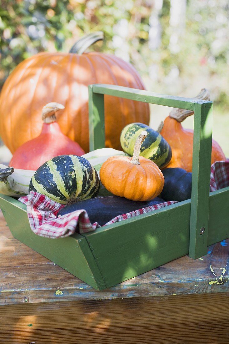 Various types of pumpkins & squashes, some in wooden basket