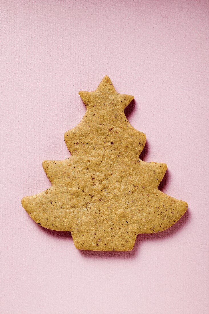 Tannenbaum aus Lebkuchen