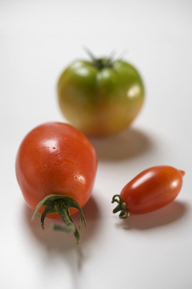 Drei verschiedene Tomaten