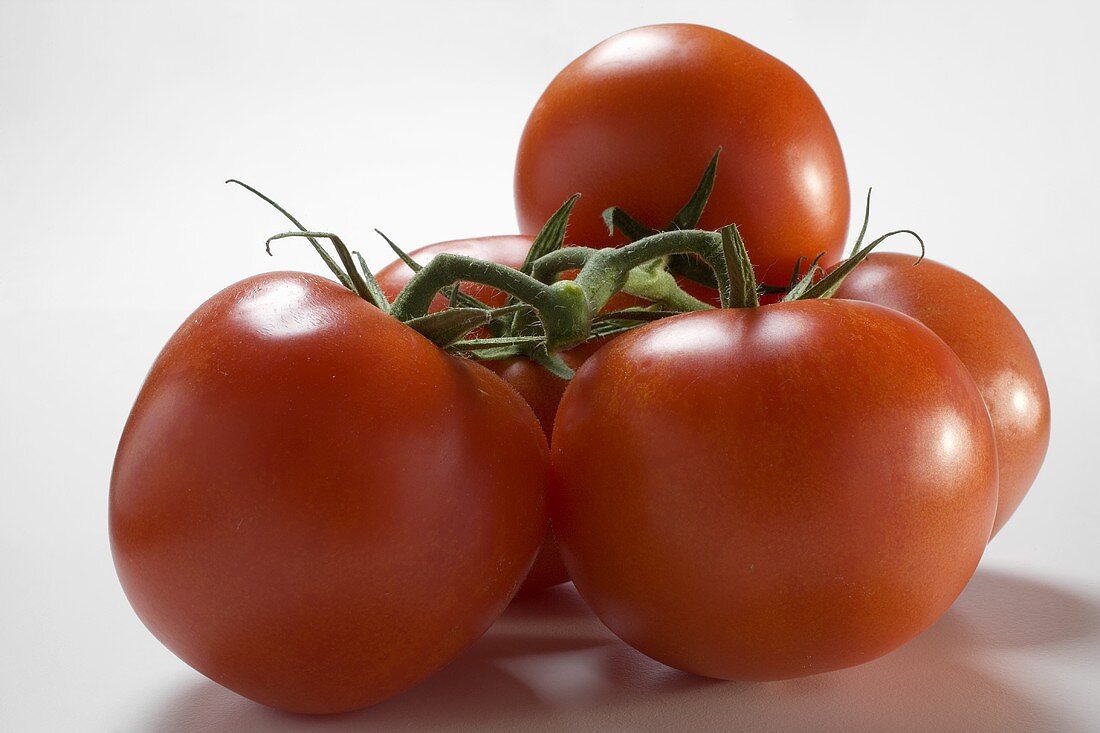 Frische Tomaten