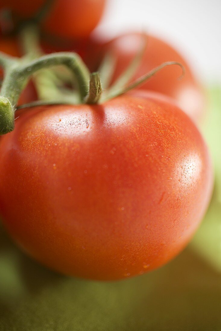 Frische Tomaten auf grünem Tuch (Close Up)