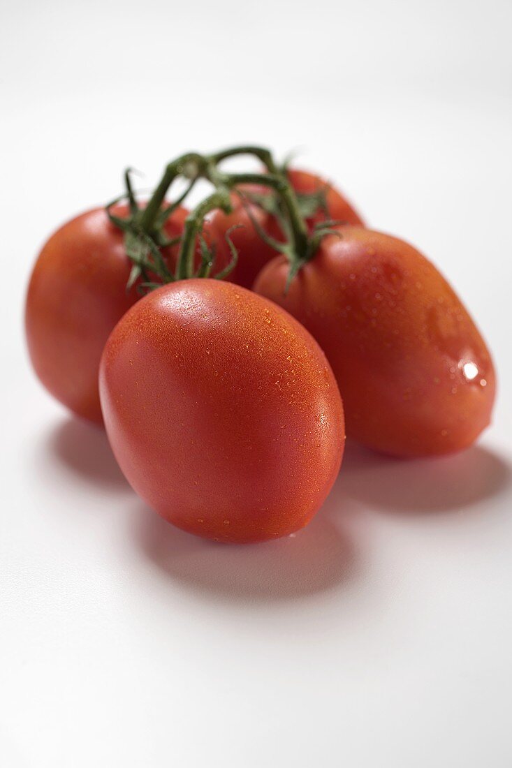 Fresh plum tomatoes