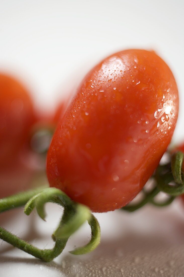 Plum tomatoes with drops of water