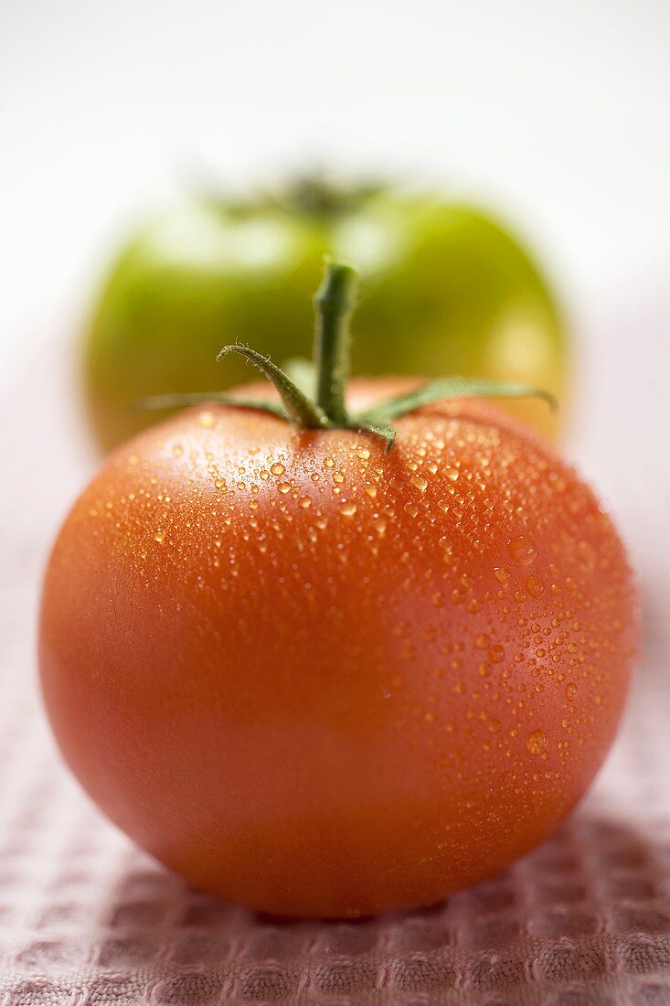 Tomato with drops of water in front of green tomato