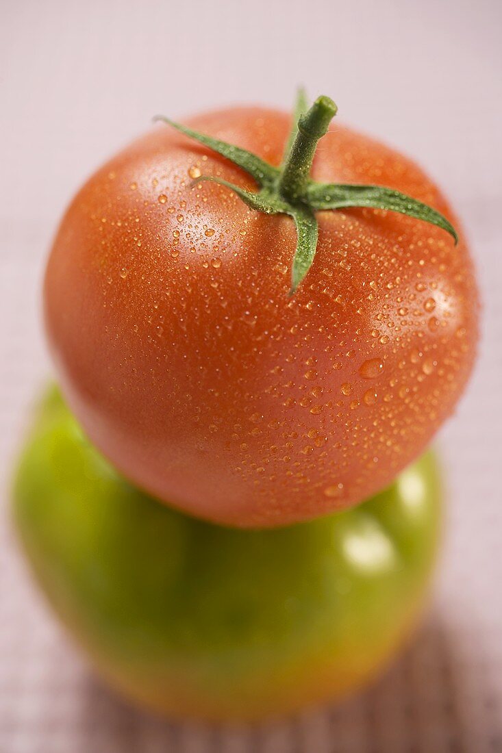 Tomate mit Wassertropfen auf grüner Tomate