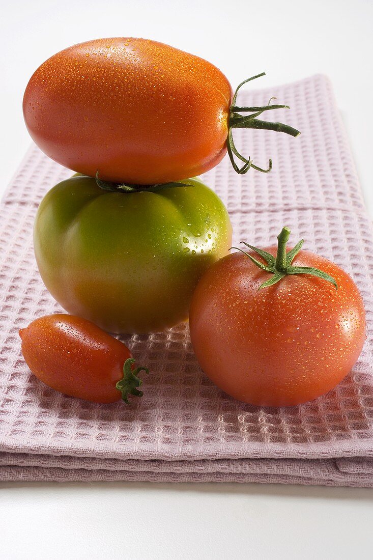 Four different tomatoes on tea towel