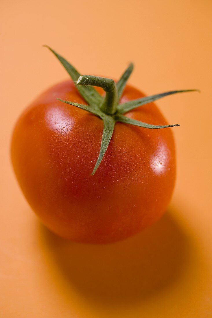 Tomate auf orangefarbenem Untergrund