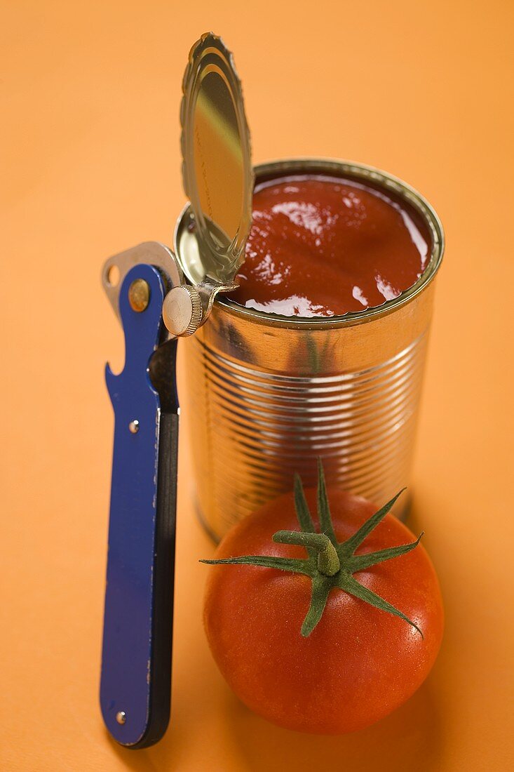 Frische Tomate neben geöffneter Konservendose
