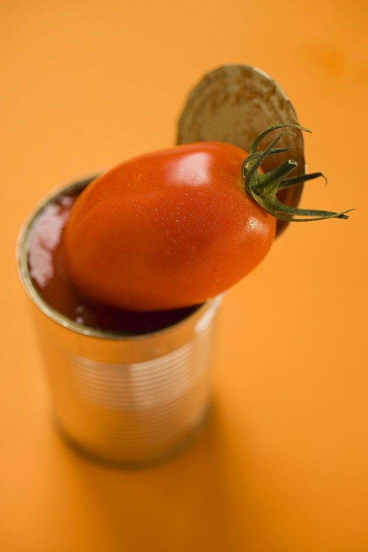 Frische Tomate auf geöffneter Konservendose