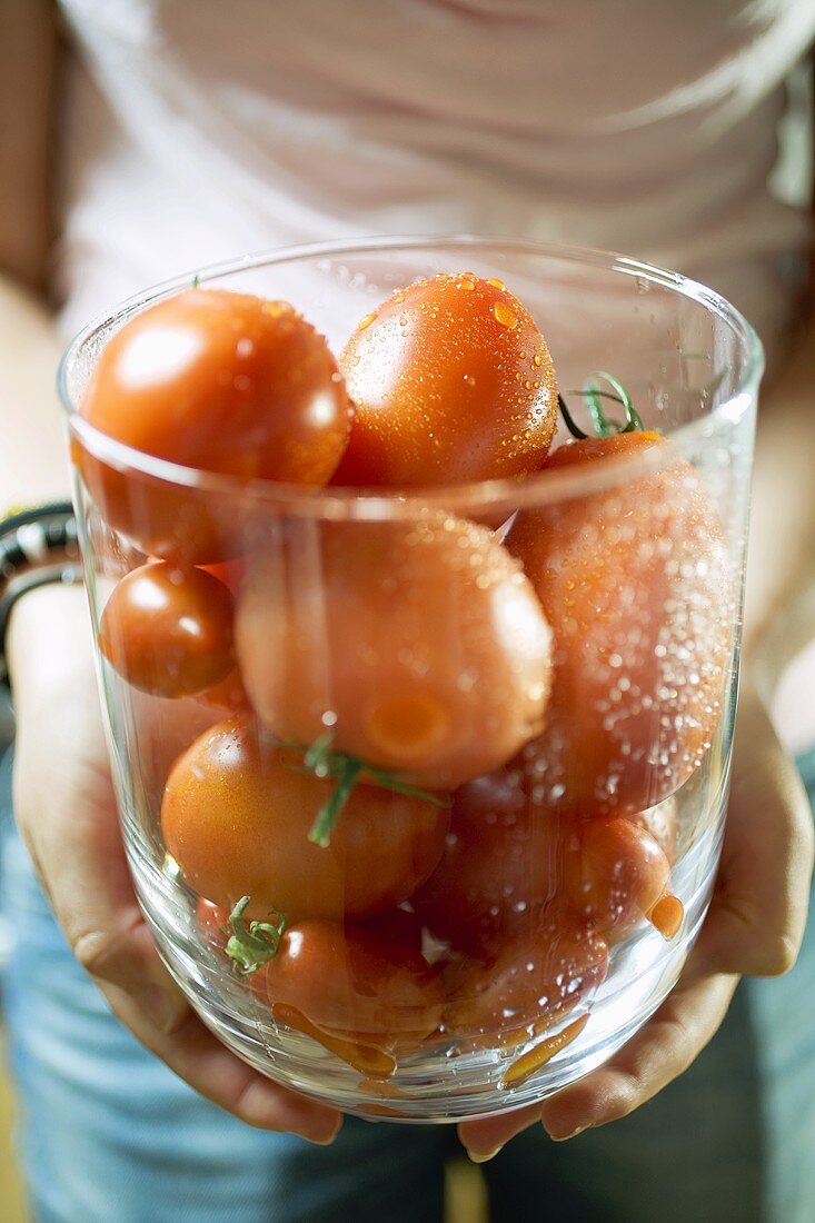 Person hält Schale mit Tomaten