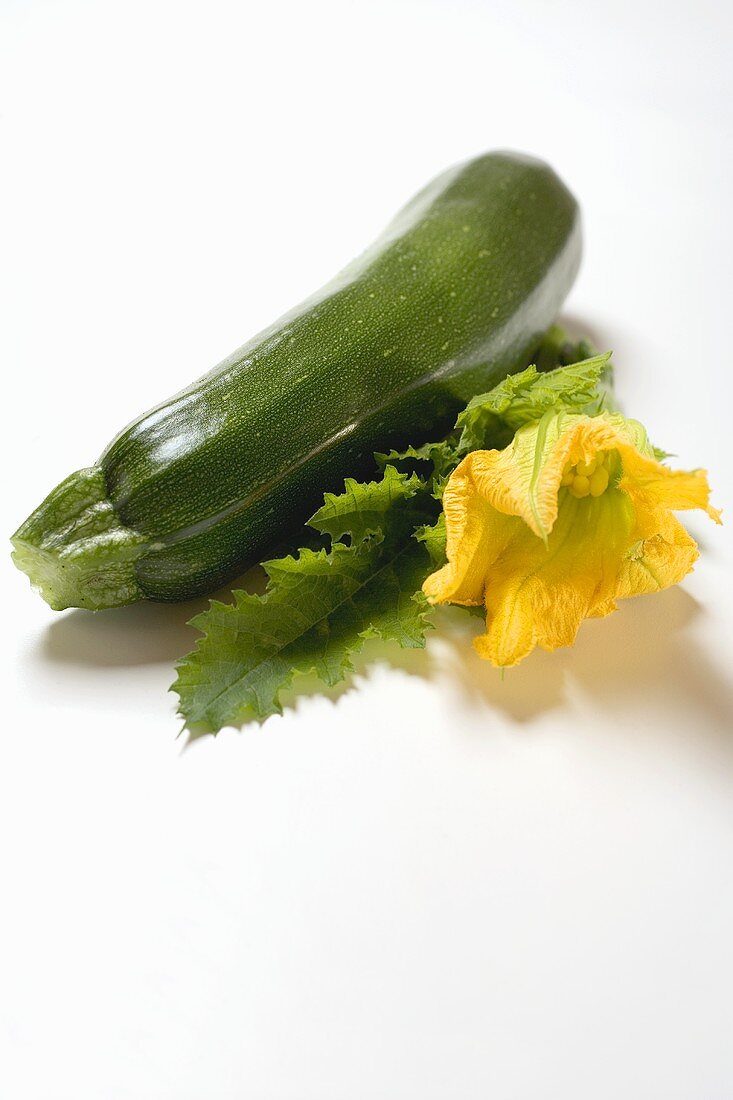 Courgette with flower and leaf