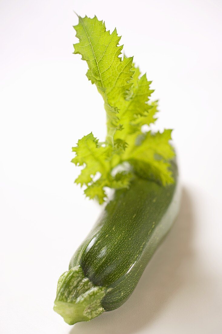 Zucchini mit Blatt