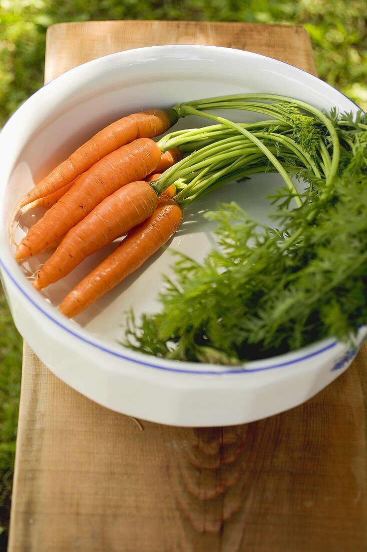 Fresh carrots with tops in white bowl
