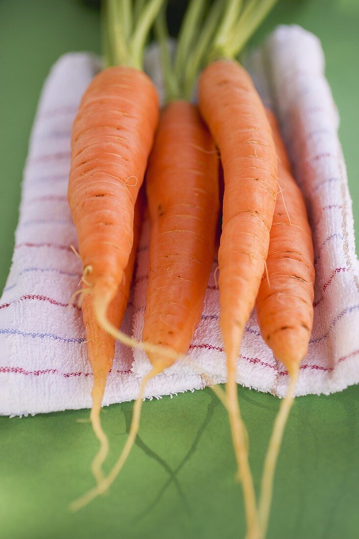 Fresh carrots on tea towel